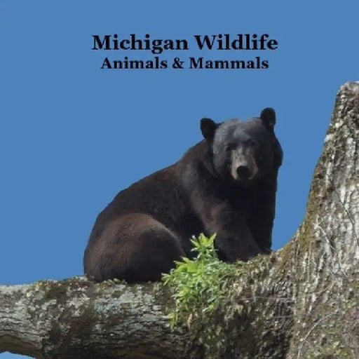 Michigan Animals and Mammals Wildlife Book: Great Michigan Animals book with Lifelike Images and Fun Facts by Kinsey Marie