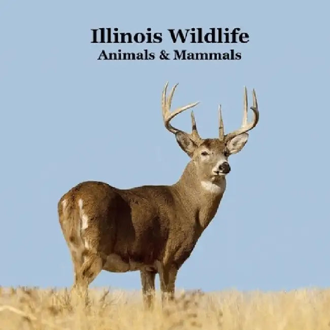 Illinois Animals and Mammals Wildlife Book: Great Illinois Animals book with Lifelike Images and Fun Facts by Kinsey Marie