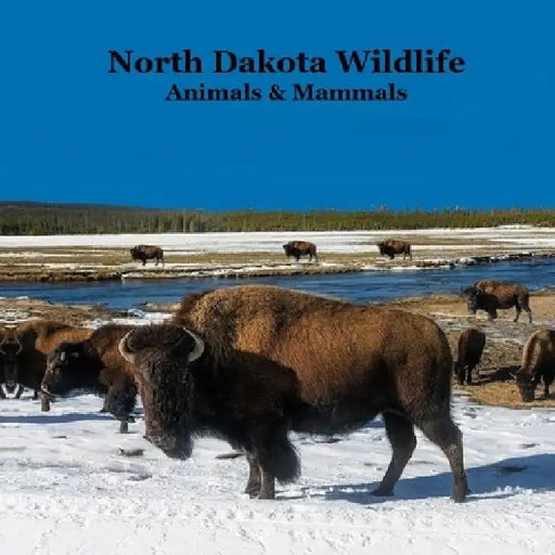 North Dakota Animals and Mammals Wildlife Book: Great North Dakota Animals Book for Children of all Ages by Kinsey Marie