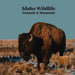 Idaho Animals and Mammals Kids Wildlife Book: Great Idaho Animals book with Lifelike Images and Fun Facts by Kinsey Marie
