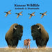 Kansas Animals and Mammals Kids Wildlife Book: Great Kansas Animals book with Lifelike Images and Fun Facts by Kinsey Marie