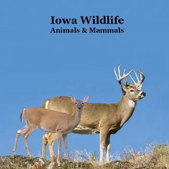 Iowa Animals and Mammals Kids Wildlife Book: Great Iowa Animals book with Lifelike Images and Fun Facts by Kinsey Marie