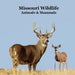 Missouri Animals and Mammals Kids Wildlife Book: Great Missouri Animals book with Lifelike Images and Fun Facts by Marie, Kinsey