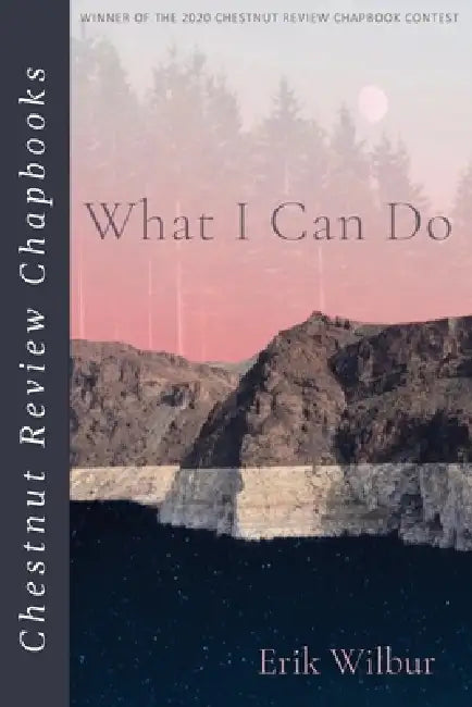What I Can Do by Erik Wilbur