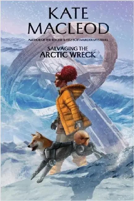 Salvaging the Arctic Wreck by MacLeod, Kate