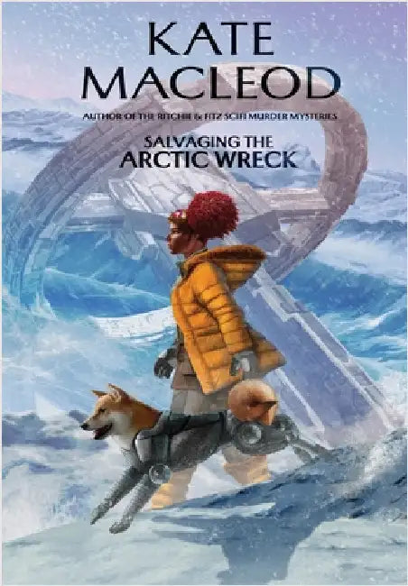 Salvaging the Arctic Wreck by MacLeod, Kate