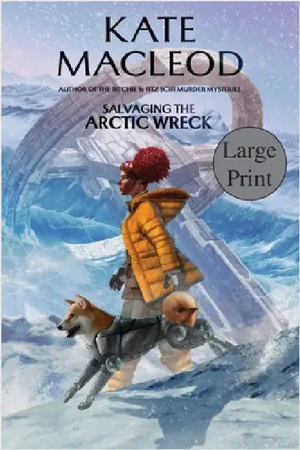 Salvaging the Arctic Wreck by MacLeod, Kate