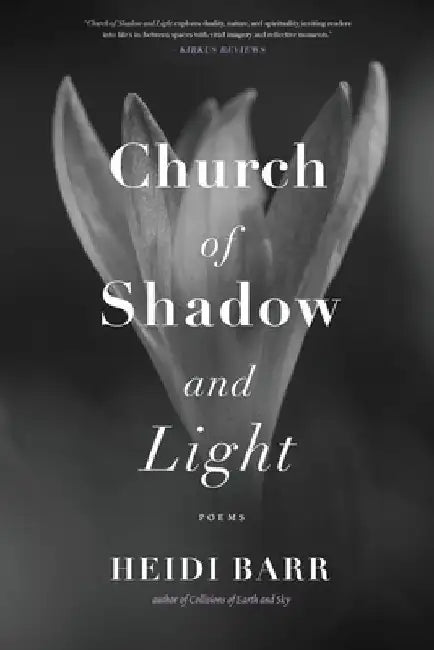 Church of Shadow and Light by Heidi Barr