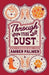 Through the Dust by Amber Palmer