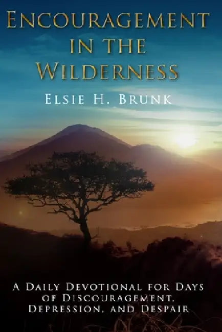 Encouragement in the Wilderness: A Daily Devotional for Days of Discouragement, Depression, and Despair by Elsie H. Brunk
