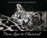 From Lens To Charcoal by Lynton Bolton
