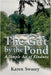 The Gift by the Pond: A Simple Act of Kindness by Swasey, Karen