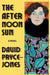 The Afternoon Sun by David Pryce-Jones