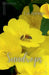 Sundrops by J. A. Springs