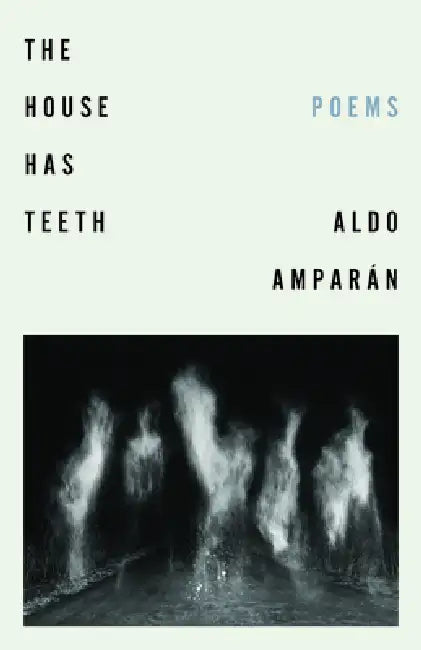 The House Has Teeth by Aldo Amparán