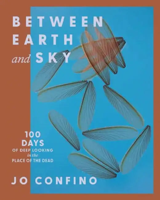 Between Earth and Sky: 100 Days of Deep Looking in the Place of the Dead by Jo Confino