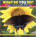 What Do You See?: Please Come Walk With Me by Mills, Mary W.
