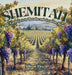 Shemitah: The Earth Gets to Breathe and Creation Heals by Allison Eley, Allison Eley