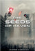 The Seeds of Haven by Faraday, Jasper