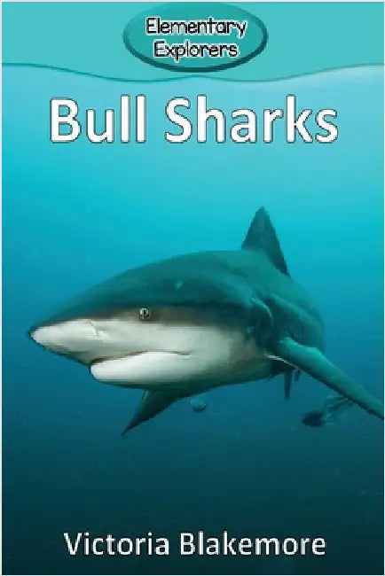 Bull Sharks by Blakemore, Victoria
