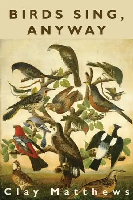 Birds Sing, Anyway by Clay Matthews