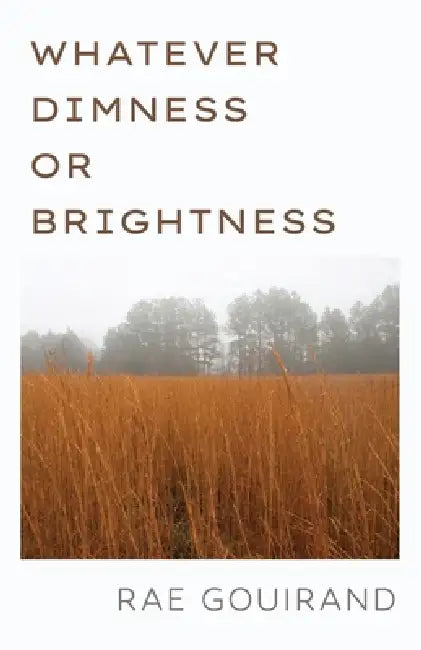 Whatever Dimness or Brightness by Rae Gouirand