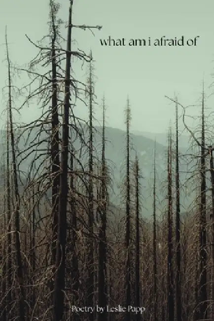 what am i afraid of by Leslie Papp