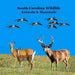 South Carolina Animals and Mammals Kids Wildlife Book: Great Wildlife Book about Animals and Mammals in South Carolina by Kinsey Marie, Billy Grinslott