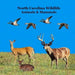 North Carolina Animals and Mammals Kids Wildlife Book: Great Wildlife Book about Animals and Mammals in North Carolina by Kinsey Marie, Billy Grinslott