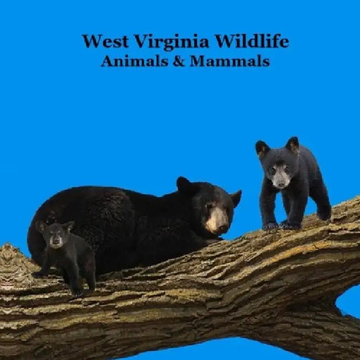 West Virginia Animals and Mammals Kids Wildlife Book: Great Wildlife Book about Animals and Mammals in West Virginia by Kinsey Marie, Billy Grinslott