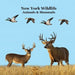 New York Animals and Mammals Kids Wildlife Book: Great Wildlife Book about Animals and Mammals in New York by Kinsey Marie, Billy Grinslott