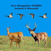 New Hampshire Animals and Mammals Kids Wildlife Book: Great Wildlife Book about Animals and Mammals in New Hampshire by Kinsey Marie, Billy Grinslott