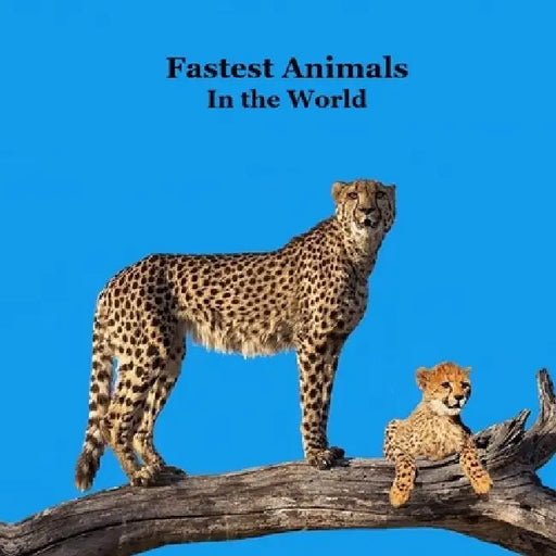 Fastest Animals in the World Kids Book: Great Book about the Fast Animals on Planet Earth by Kinsey Marie, Billy Grinslott