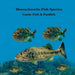 Massachusetts Game Fish and Panfish Species Kids Book: Great Book About the Different Types of Fish in Massachusetts by Kinsey Marie, Billy Grinslott