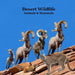 Desert Animals and Mammals Kids Wildlife Book: Great Book About Animals that Live in the Hottest Deserts of America by Kinsey Marie, Billy Grinslott