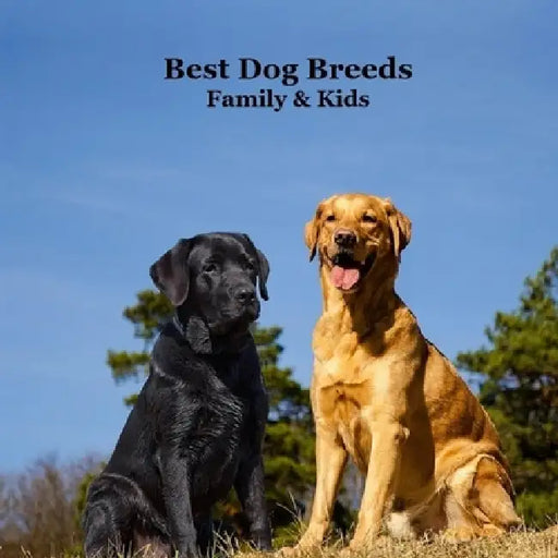 Best Dog Breeds for Family and Kids Book: Excellent Guide to Finding Your Next Dog or Puppy by Kinsey Marie, Billy Grinslott
