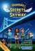 Secrets of the Skyway by Kann, Diane