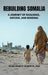 Rebuilding Somalia: A Journey of Resilience, Reform, and Renewal by Asad Aliweyd
