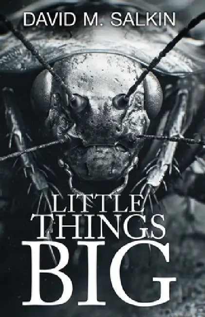 Little Things Big by David M. Salkin