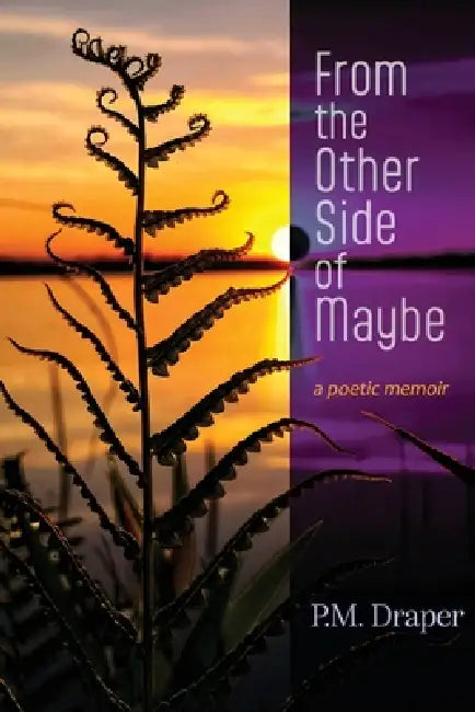 From the Other Side of Maybe by P. M. Draper