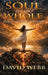 Soul Made Whole: Healing the Wounds Within by David S. Webb