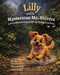 Lilly and the Mysterious Mr. Shivers: A Story About Courage, Faith, and Facing Your Fears by Marsha Flud, Josie Abigail