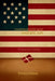 Unapologetically American by Thyra Grimm