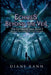 Echoes Beyond the Veil by Diane Kann