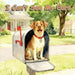 I Can't See My Ears by Riley Peiker