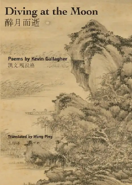 Diving at the Moon by Kevin Gallagher, Wang Ping