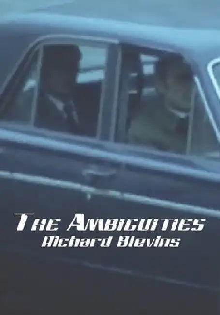 The Ambiguities: or, Melville's Double Sense by Richard Blevins