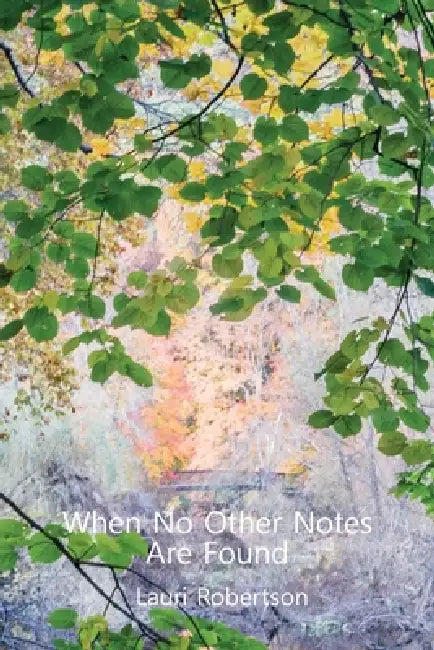 When No Other Notes Are Found by Lauri Robertson