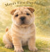 Maya's First Day Home: Maya's Adventures by Andrey Vlasov, Anastasiia Aleksanova, Andrey Vlasov