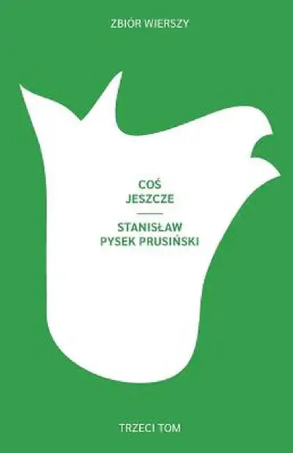Coś jeszcze by Stanislaw Pysek Prusinski